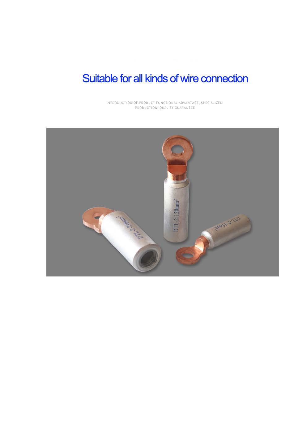 DTL CONNECTOR_页面_6.jpg